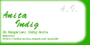 anita indig business card